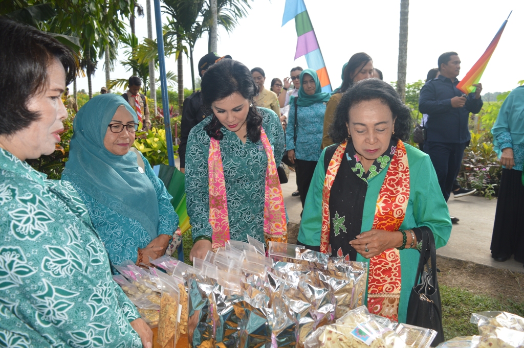 Tim Penilai Hatinya PKK Nasional Datangi Desa Sido Mulyo