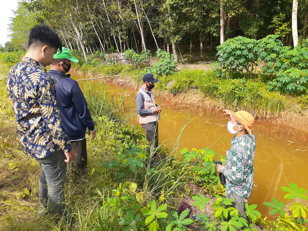 Kunjungan Tim Pokja Ke Lokasi Food Estate Kabupaten Pulang Pisau