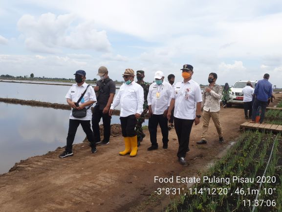 Plt Gubernur Kalteng Tinjau Lokasi Center Of Excellent (CoE) Food Estate di Desa Belanti Siam Kecamatan Pandih Batu Kabupaten Pulang Pisau