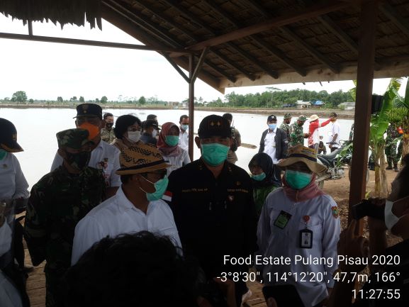 Plt Gubernur Kalteng Tinjau Lokasi Center Of Excellent (CoE) Food Estate di Desa Belanti Siam Kecamatan Pandih Batu Kabupaten Pulang Pisau