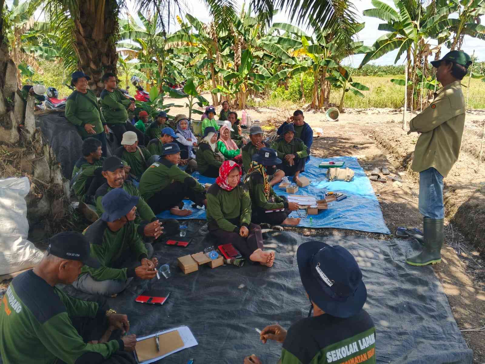Petani Cabai Di Kapuas  Mendapat Pembekalan  Sekolah Lapang Pengendalian Hama Terpadu (SLPHT)