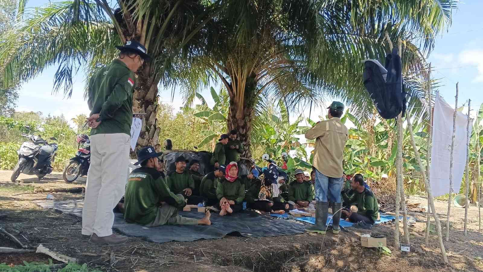 Petani Cabai Di Kapuas  Mendapat Pembekalan  Sekolah Lapang Pengendalian Hama Terpadu (SLPHT)
