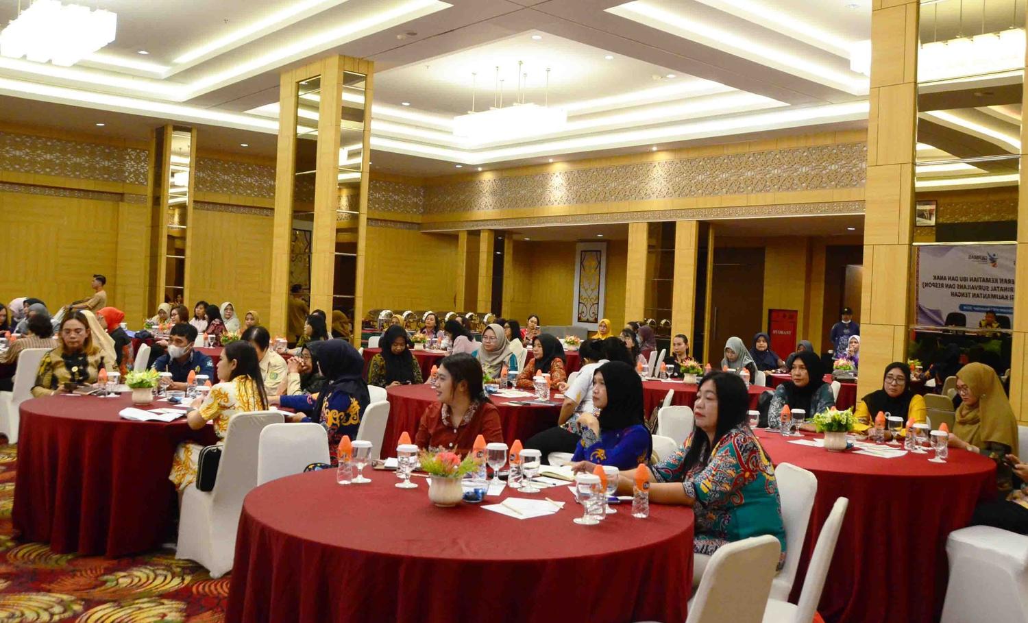 Dinkes Kalteng Gelar Rapat Evaluasi Audit Maternal Perinatal Survailans dan Respons Kematian Ibu dan Anak