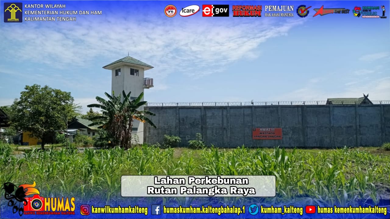 Dukung Ketahanan Pangan, Rutan Palangka Raya Siapkan Jagung dan Kangkung