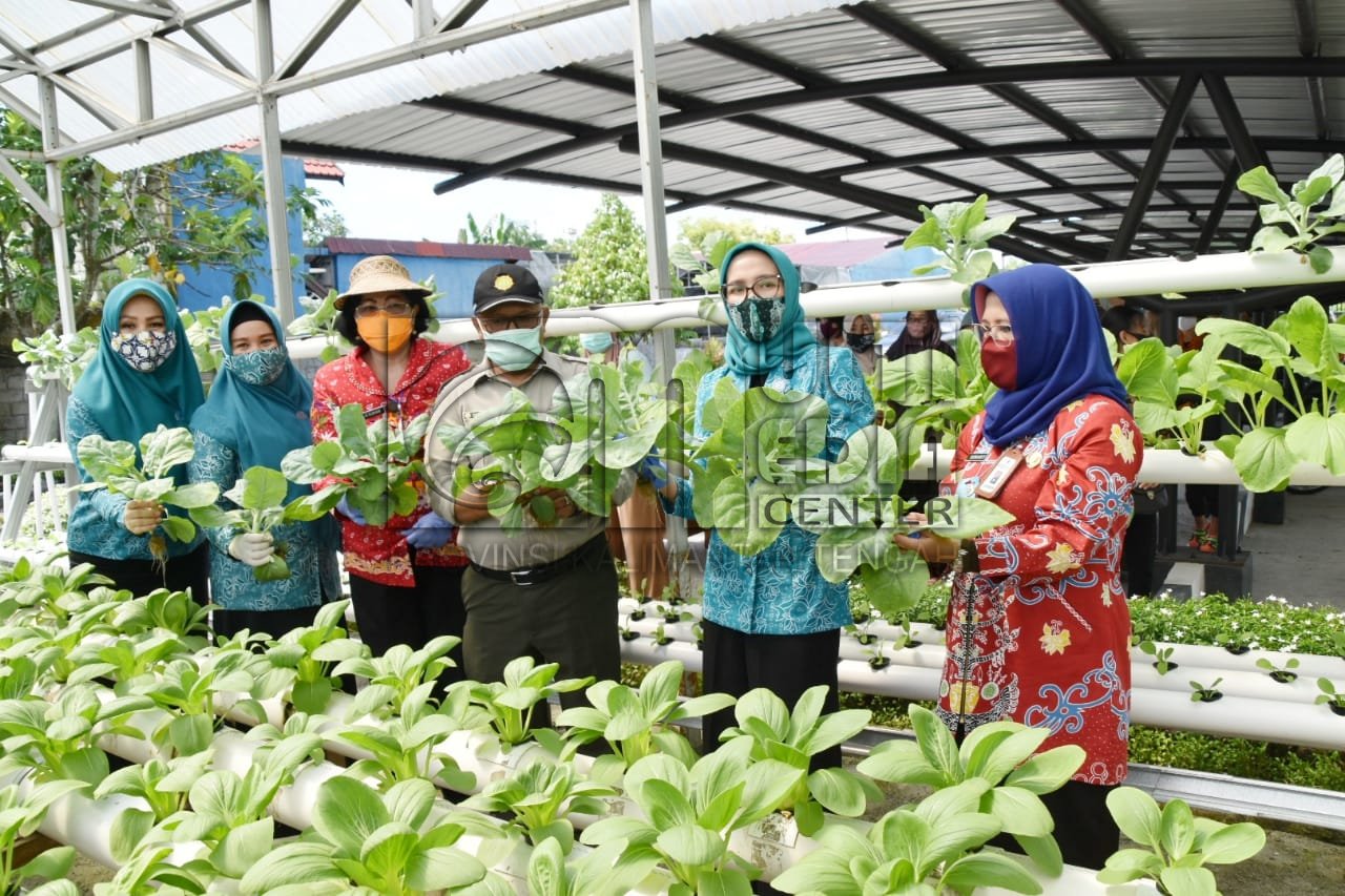Ketua TP-PKK Prov. Kalteng Apresiasi Kegiatan Panen Bersama di Pekarangan Kelompok Wanita Tani Menteng Permai
