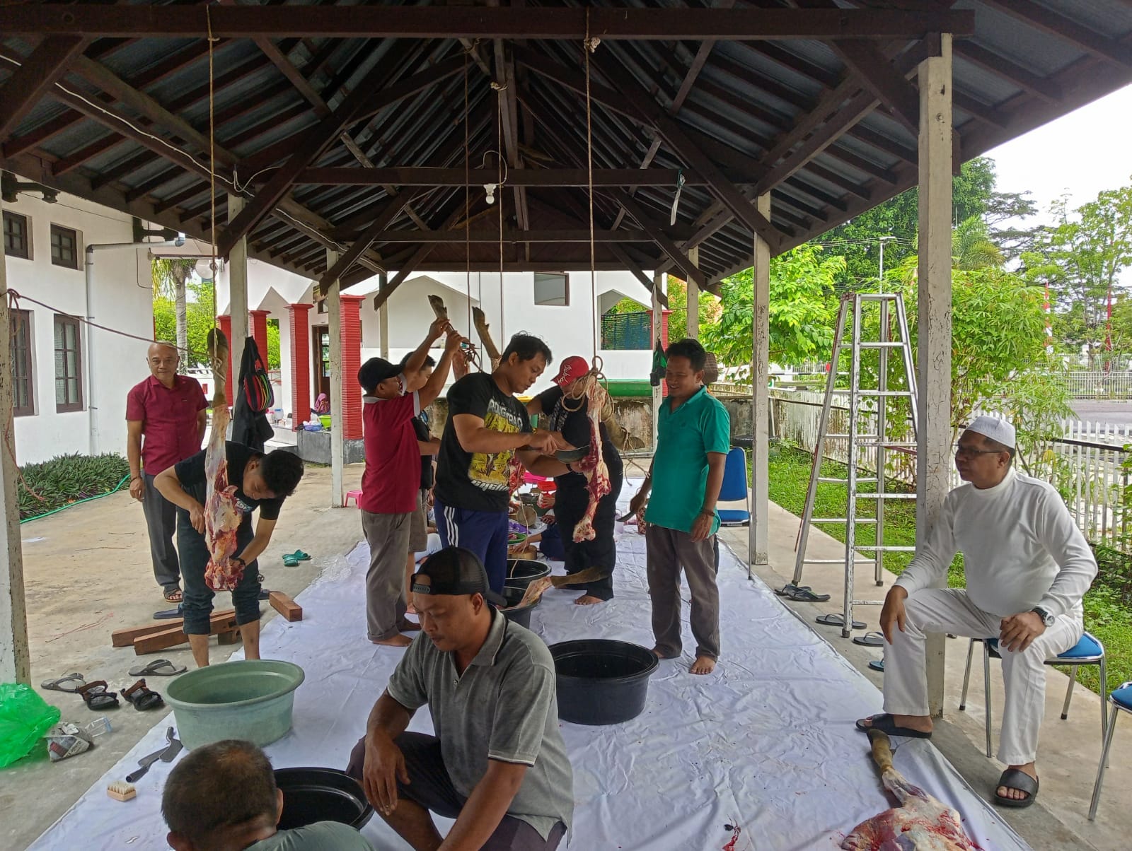Hari Raya Iduladha 1444 H, Majelis Talim Assamkiyah Dislutkan Prov Kalteng Lakukan Pemotongan Dua Ekor Sapi dan Empat Ekor Kambing