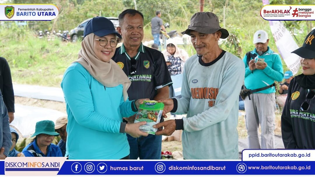 Pemerintah Kabupaten Barito Utara Dorong Budidaya Cabai Lewat Aksi Tanam Bersama