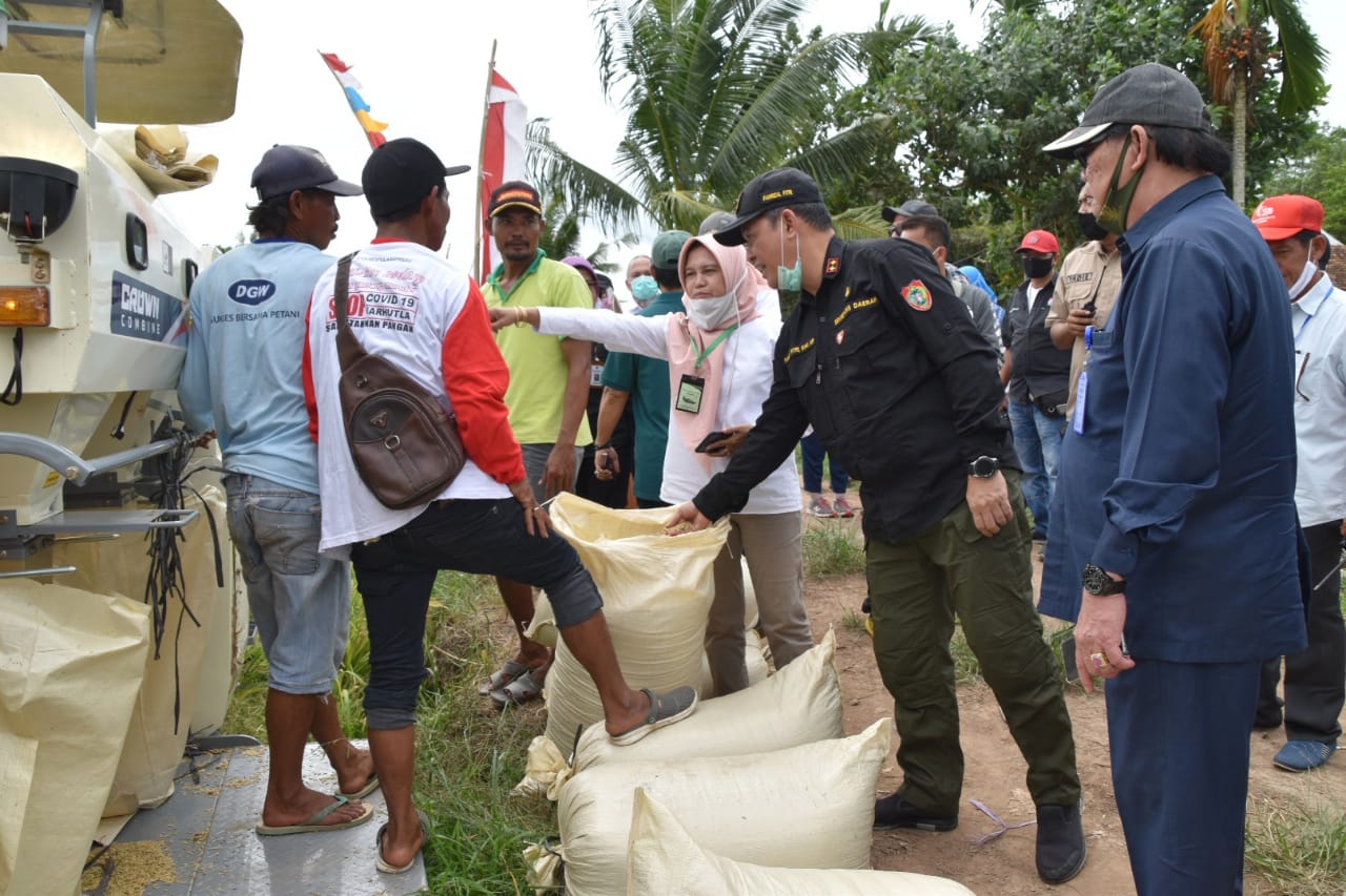 Sekda Kalteng Hadiri Panen Raya di Desa Gadabung Kab. Pulang Pisau