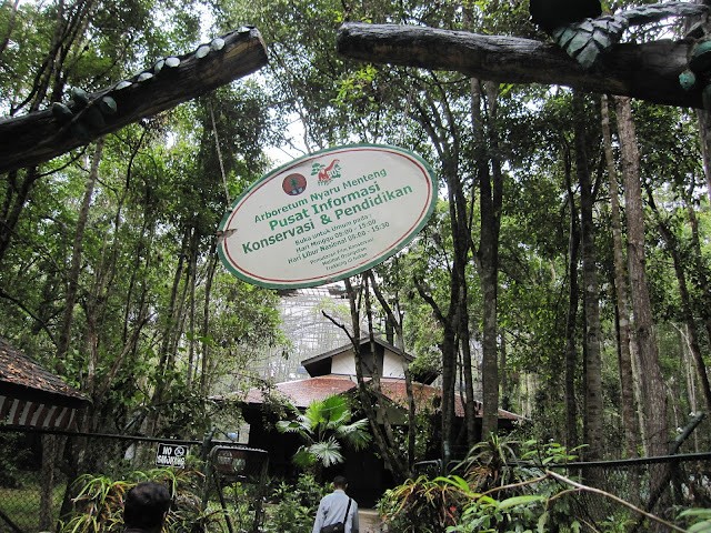 Eksplorasi Alam dan Satwa di Arboretum Nyaru Menteng