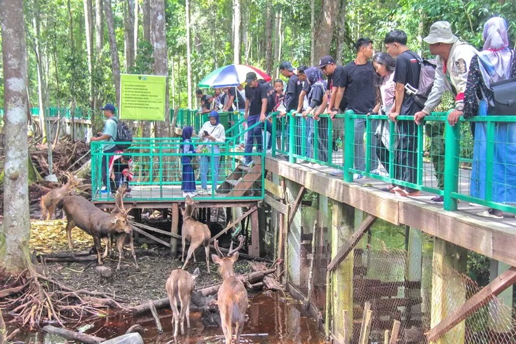Eksplorasi Alam dan Satwa di Arboretum Nyaru Menteng