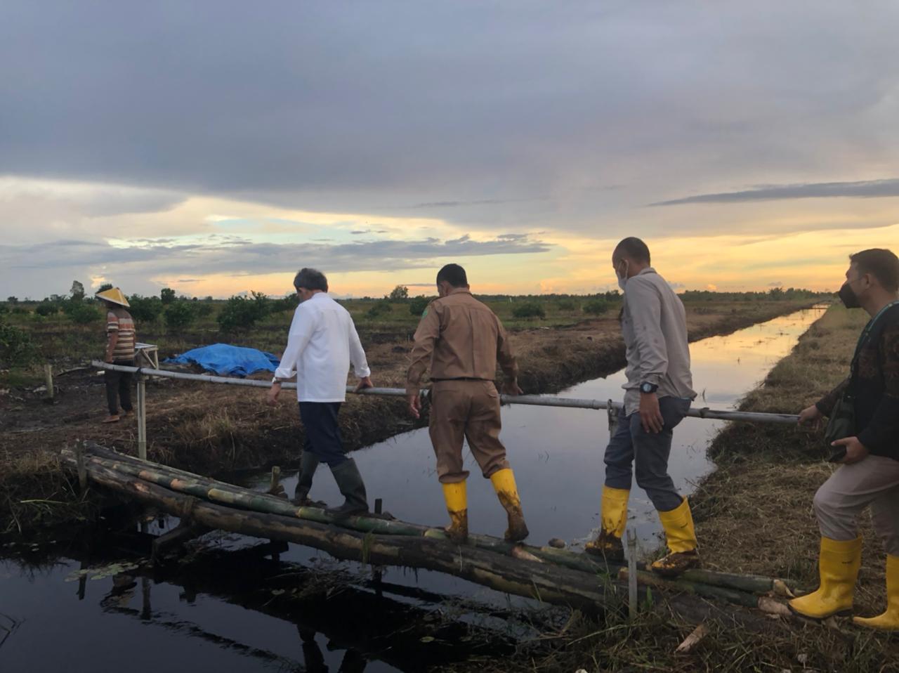 Kepala BRGM RI Tinjau Lokasi Demonstration Farm Pemanfaatan Lahan Gambut Terdegredasi di Desa Talio Hulu, Pulang Pisau