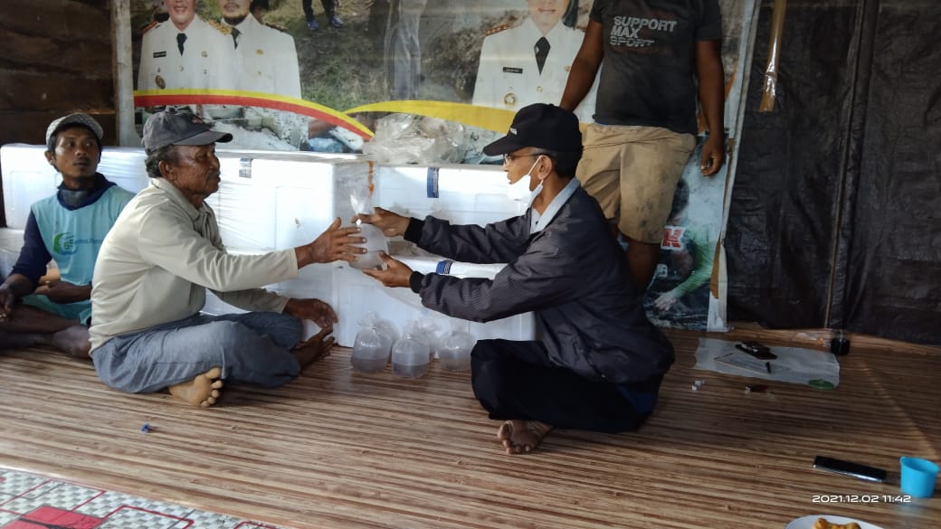 Upaya Pemulihan Ekonomi Masyarakat, Pemprov. Kalteng Berikan Bantuan Benur Udang Windu