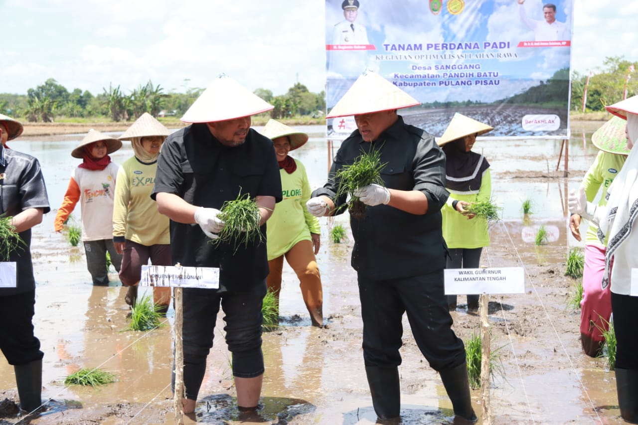 Dirjen Perkebunan Nur Alam Syah Apresiasi Komitmen dan Tekad Gubernur Kalteng Wujudkan Ketahanan Pangan