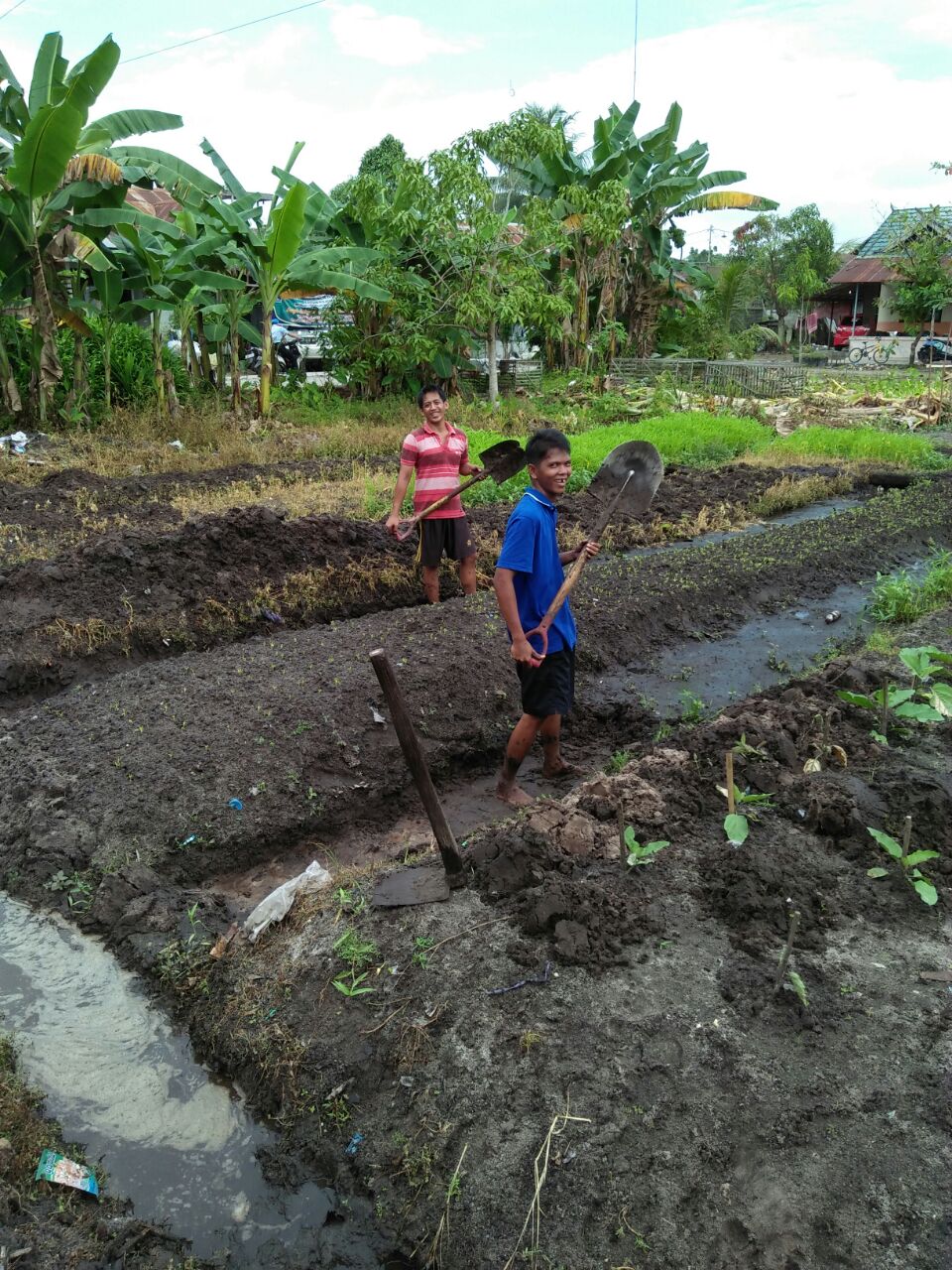 Lahan Kosong Rutan Palangka Raya Berhasil Dimanfaatkan Menjadi Lahan Produktif