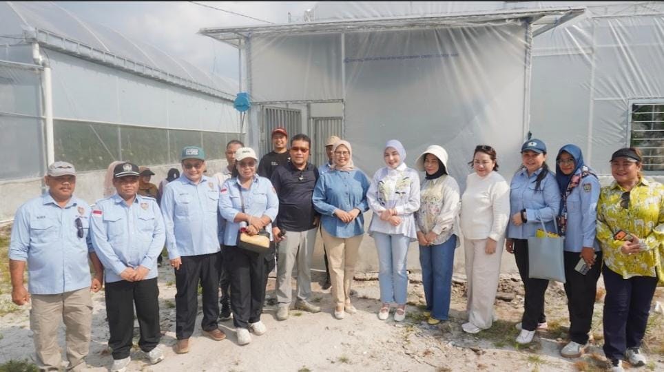 Panen melon Smart Greenhouse, Dinas TPHP Prov Kalteng perkuat inovasi pertanian modern 
