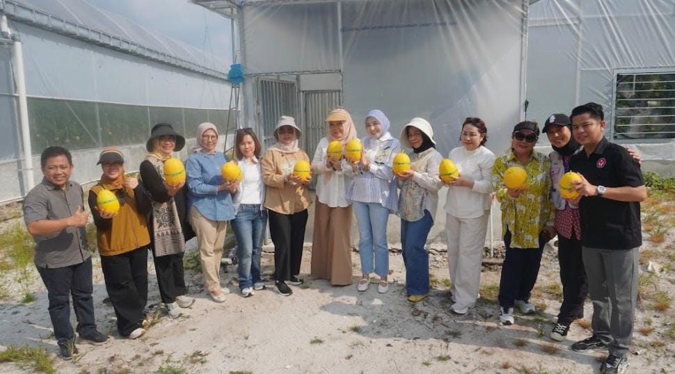 Panen melon Smart Greenhouse, Dinas TPHP Prov Kalteng perkuat inovasi pertanian modern 