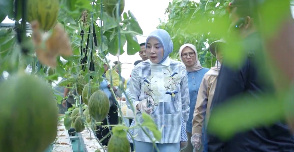 Ketua TP PKK Kalteng Dorong Ketahanan Pangan Keluarga Melalui Pemanfaatan Pekarangan Produktif