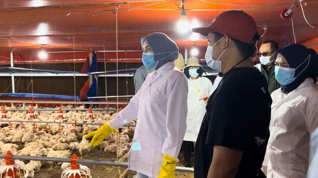 Ketua TP PKK Kalteng Dorong Ketahanan Pangan Keluarga Melalui Pemanfaatan Pekarangan Produktif