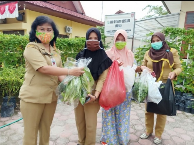 Kembali, DKP Kobar Salurkan Panen OPAL bagi Tenaga Medis RSSI Pangkalan Bun