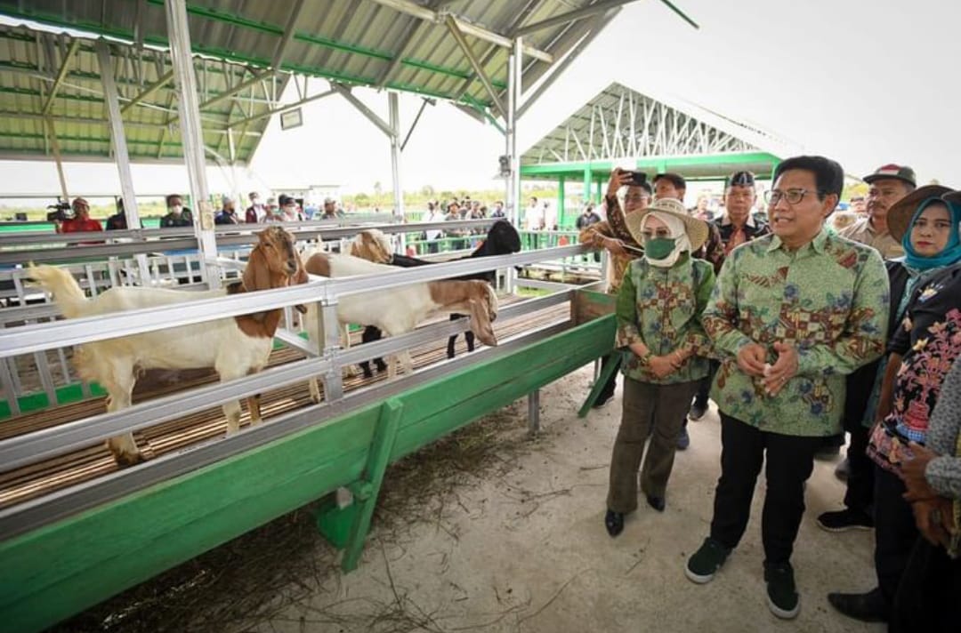 Plt. Kadisnakertrans Kalteng Dampingi Menteri Desa PDTT Resmikan Desa Peternakan Terpadu