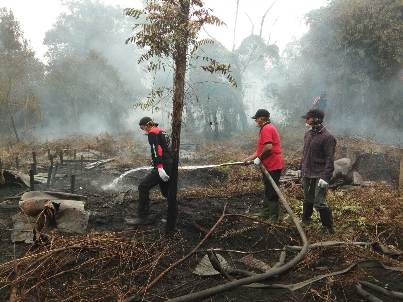 Tim Karhutla Dinas ESDM Prov. Kalteng Bantu Padamkan Api Karhutla di Kalampangan