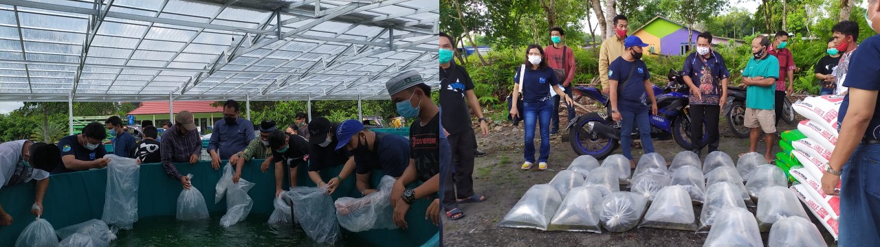 Dislutkan Kalteng Berikan Bantuan Benih Patin dan Pakan Ikan Kepada Pelaku Usaha Perikanan di Kabupaten Pulang Pisau