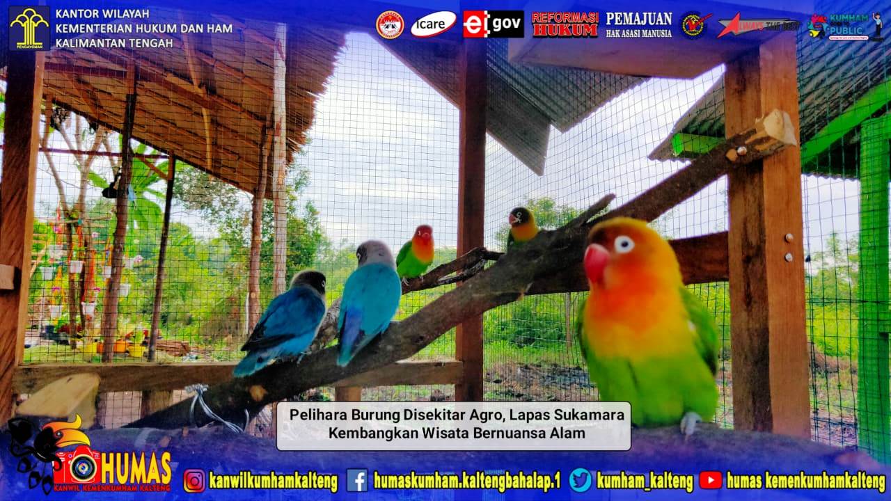 Pelihara Burung di Sekitar Agro, Lapas Sukamara Kembangkan Wisata Bernuansa Alam