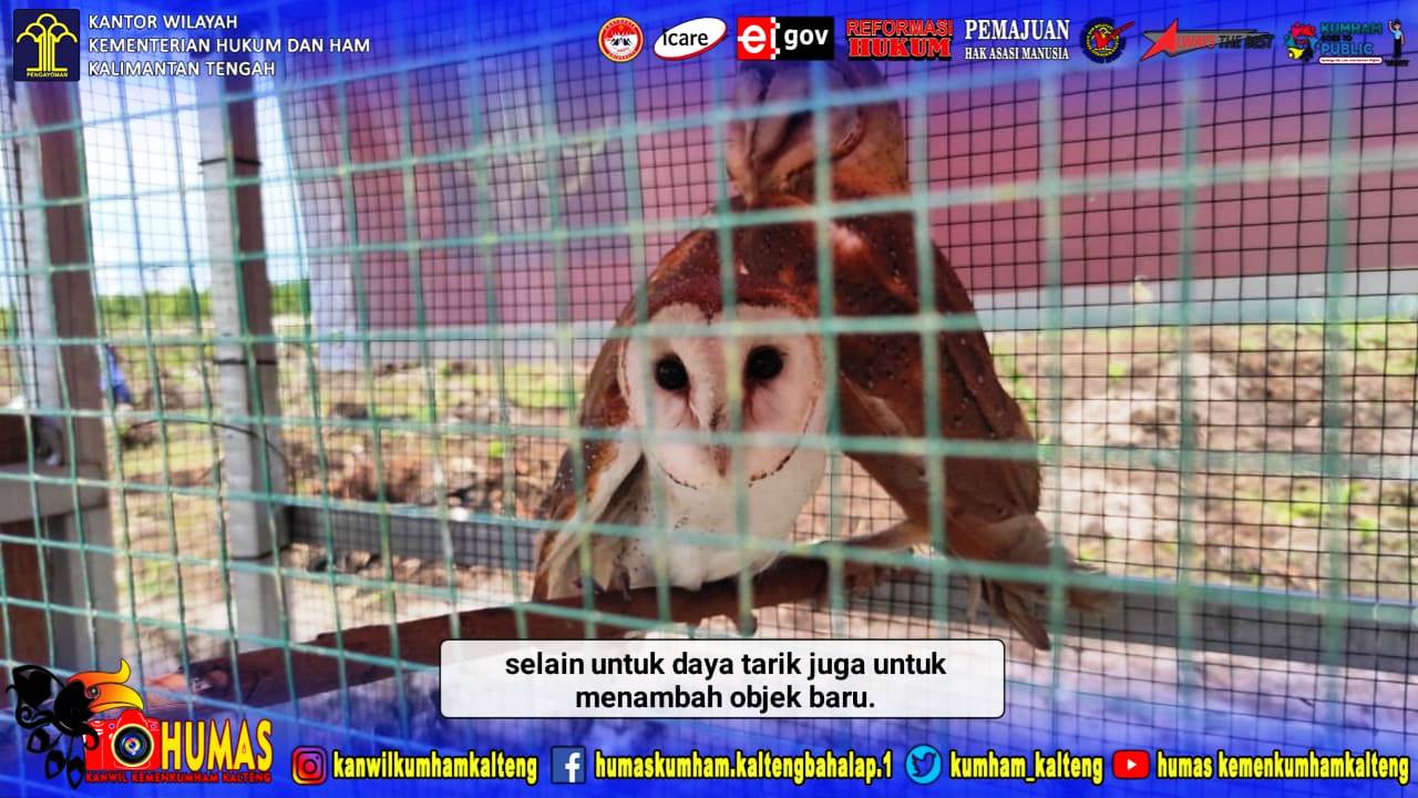 Pelihara Burung di Sekitar Agro, Lapas Sukamara Kembangkan Wisata Bernuansa Alam