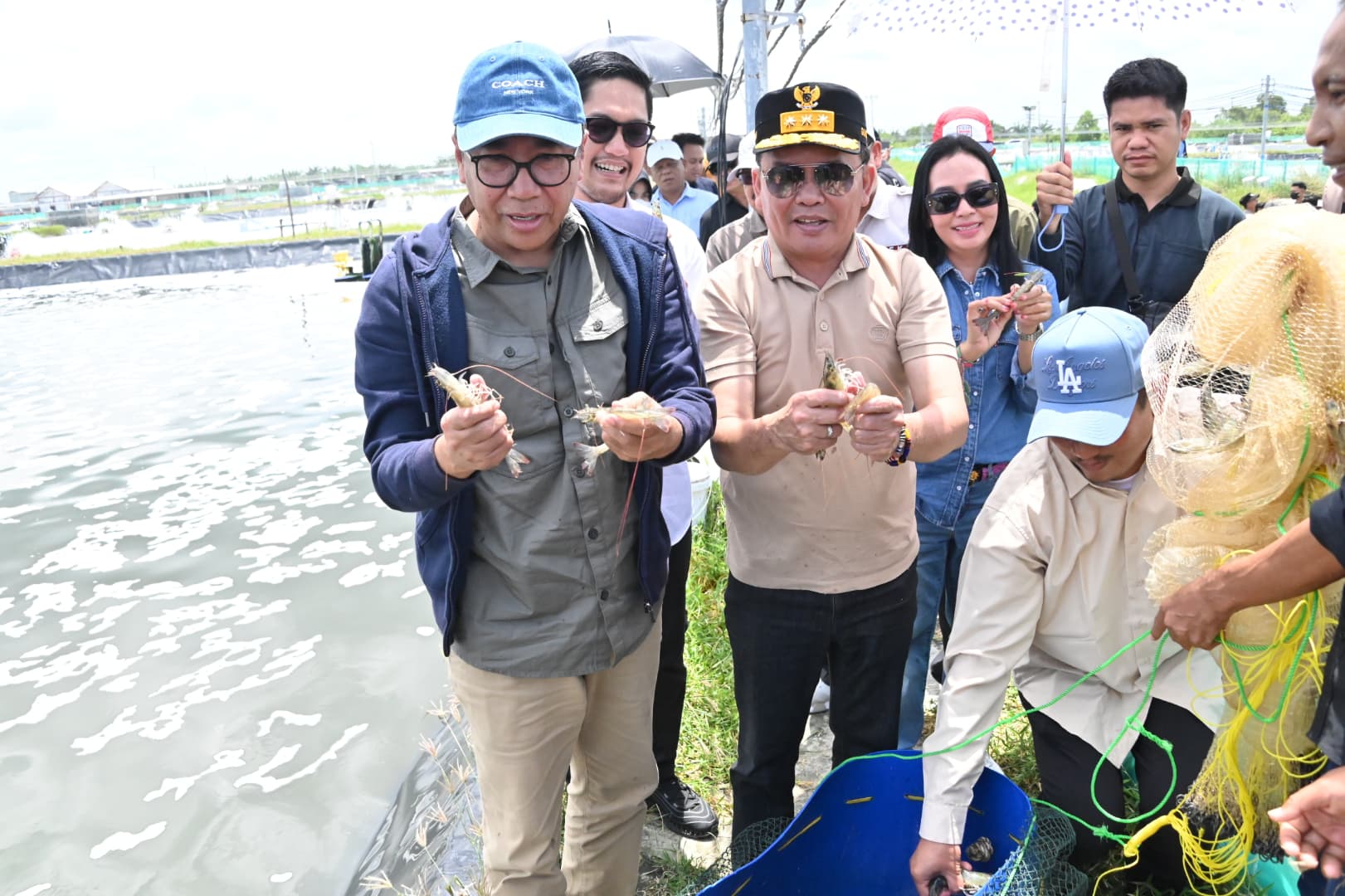 Gubernur Agustiar Sabran Bersamai Langsung Panen Parsial Udang Vaname Shrimp Estate Berkah