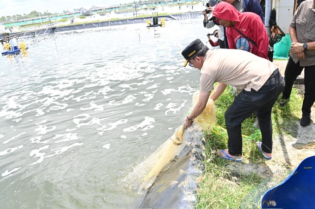 Gubernur Agustiar Sabran Komitmen Dukung Pembangunan Shrimp Estate Berkah di Desa Sei Raja Kab. Sukamara Hingga Jadi Kawasan Ekonomi Produktif