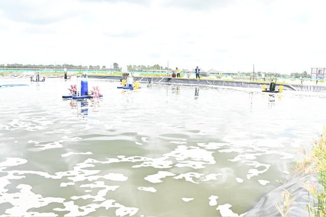 Gubernur Agustiar Sabran Komitmen Dukung Pembangunan Shrimp Estate Berkah di Desa Sei Raja Kab. Sukamara Hingga Jadi Kawasan Ekonomi Produktif