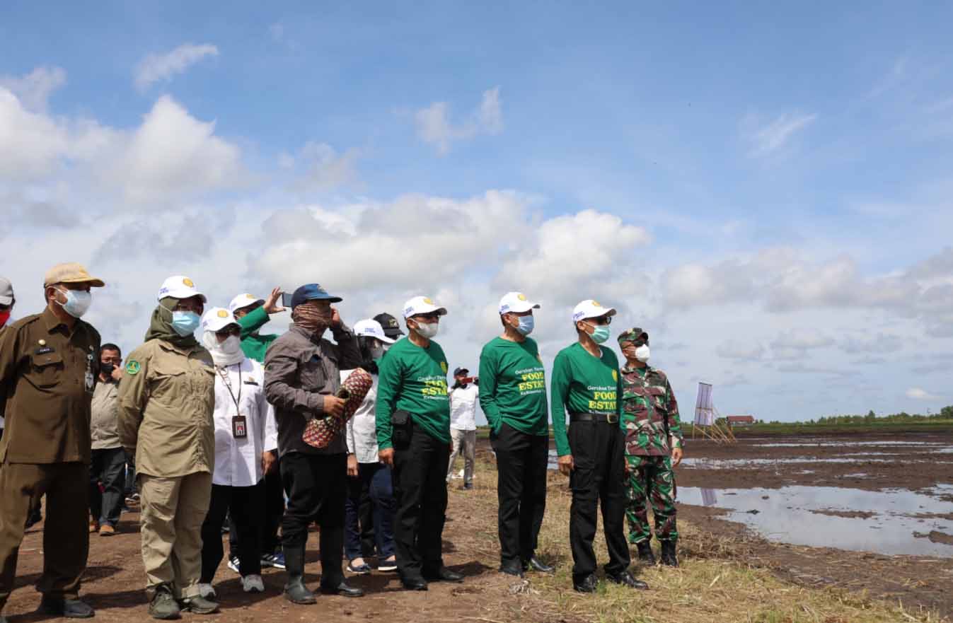 Kementan Paparkan Progres Food Estate Dadahup