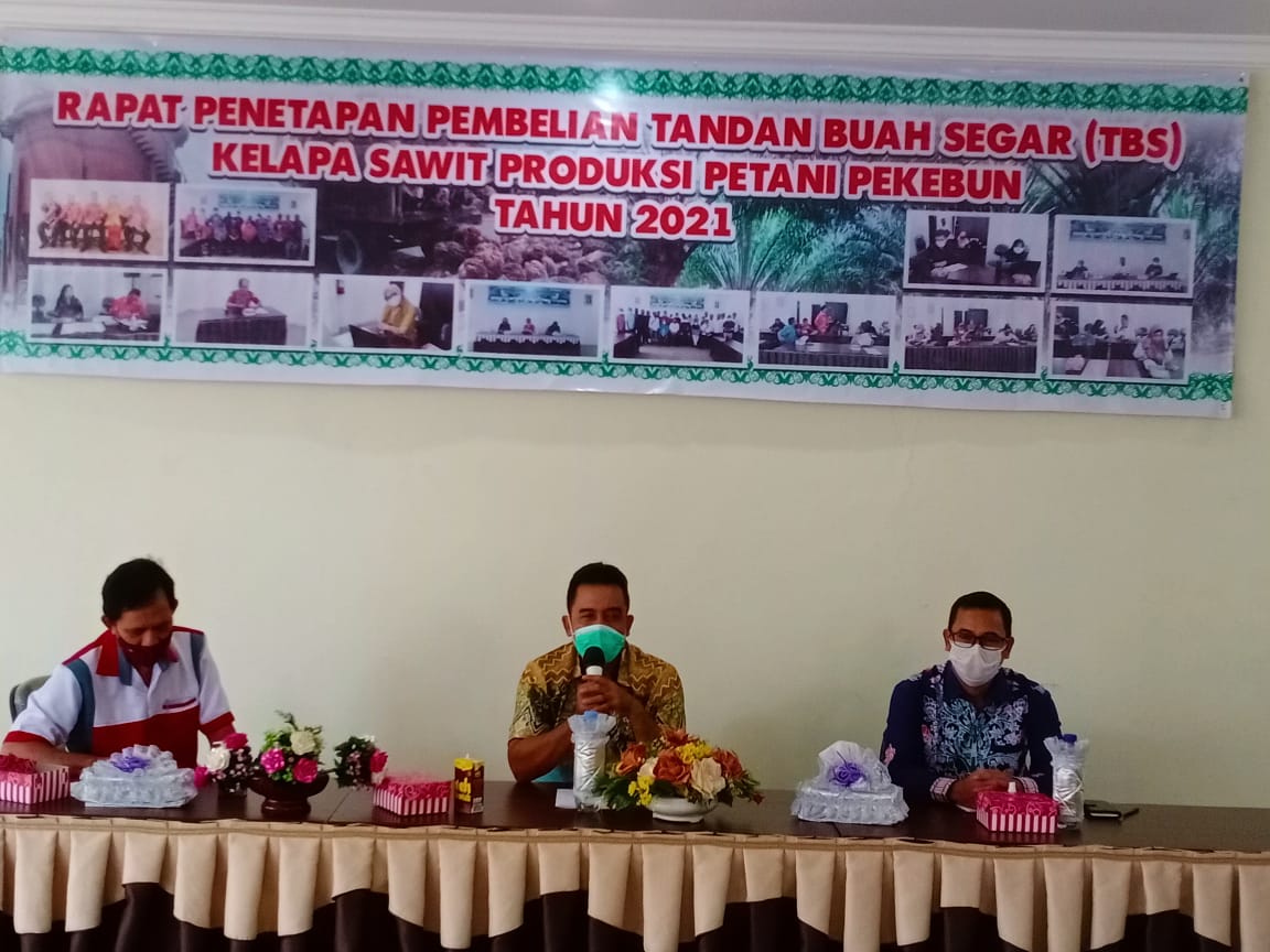 Harga TBS Kelapa Sawit Kalteng Terus Melambung Tinggi