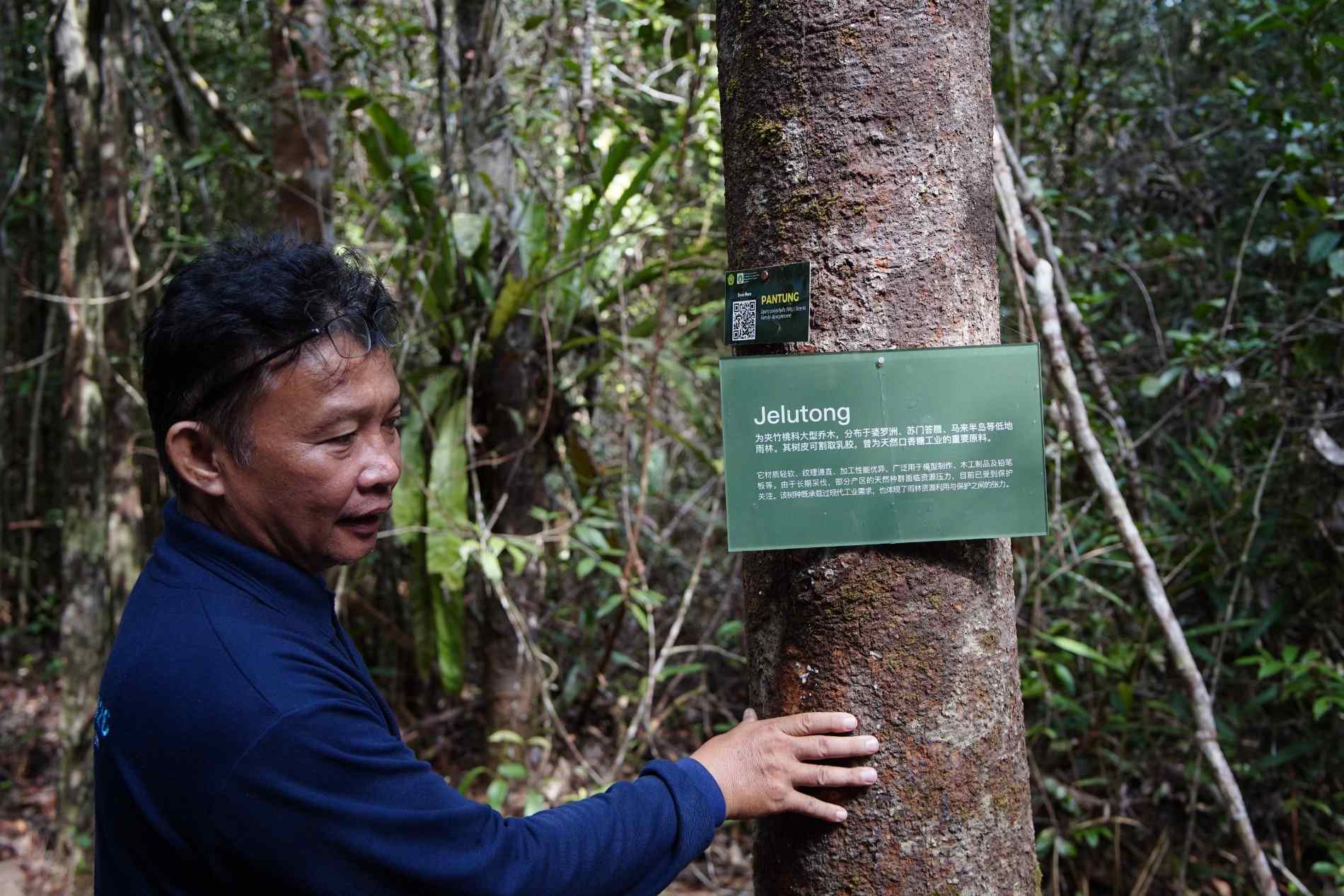 Kolaborasi Komunitas Gelar Jelajah Hutan Sebangau, Belajar Bersama Mengenal Ekosistem Gambut