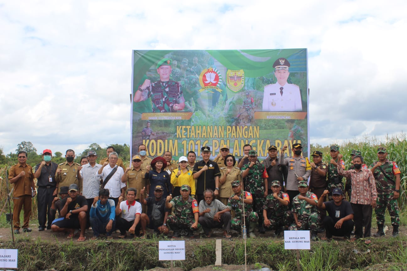 Pemkab Gumas Bersiap Hadapi Inflasi Pangan dengan Gerakan Menanam Cabe (Sakuyan Lombok)