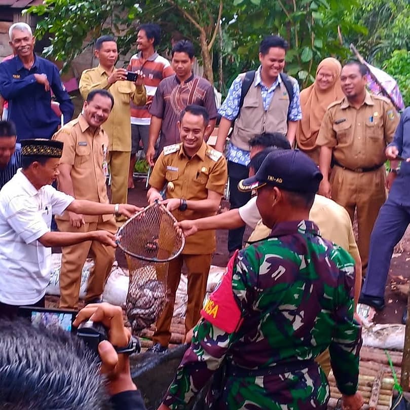 Walikota Panen Perdana Lele Dumbo di Kelurahan Marang