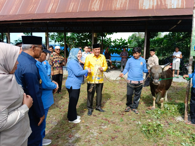 Bupati Hj. Nurhidayah Serahkan Bantuan Hewan Kurban ke Masjid dan Mushola