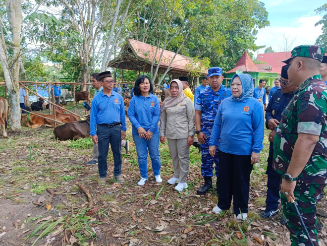 Bupati Hj. Nurhidayah Serahkan Bantuan Hewan Kurban ke Masjid dan Mushola