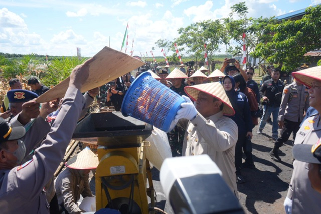 Panen Raya Jagung Serentak Kuartal II-2025, Kalteng Tunjukkan Komitmen Ketahanan Pangan