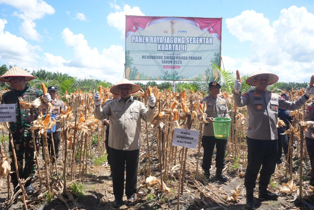 Panen Raya Jagung Serentak Kuartal II-2025, Kalteng Tunjukkan Komitmen Ketahanan Pangan