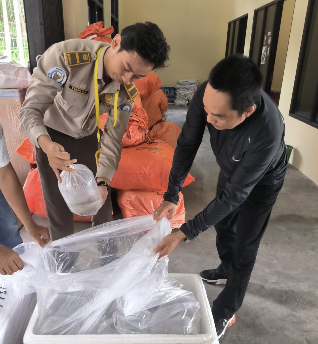Kejar Target Produksi Udang Nasional, Kalteng Terima Bantuan Benih Udang Windu