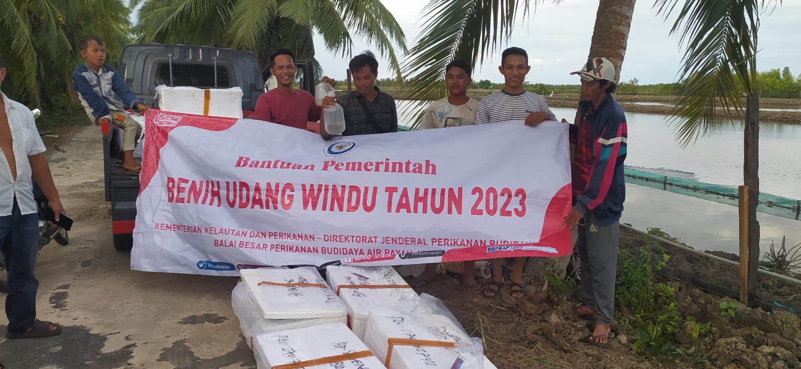 Kejar Target Produksi Udang Nasional, Kalteng Terima Bantuan Benih Udang Windu