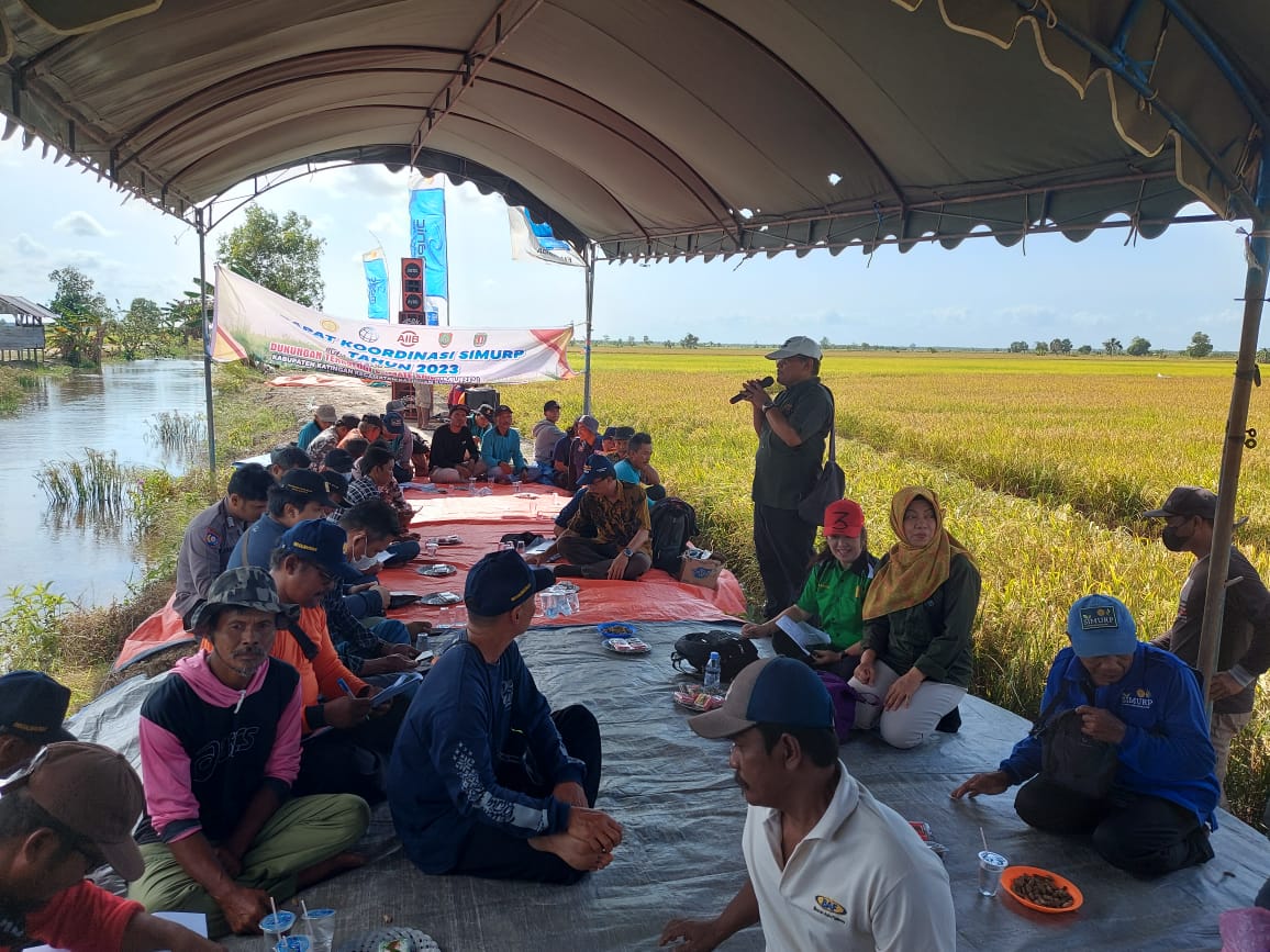 Rakor SIMURP dan Panen Padi Demplot Inti di Desa Makmur Utama Kecamatan Katingan Kuala