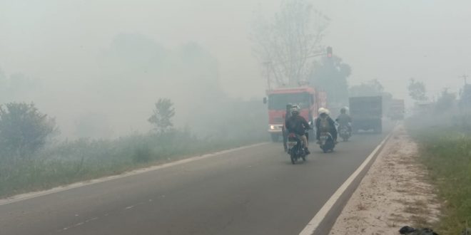 Kabut Asap Kembali Menyaput, Perlu Ambil Kebijakan