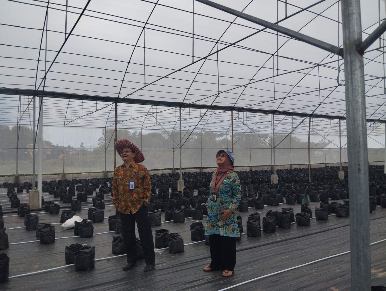 Kadis TPHP Lakukan Peninjauan Pembangunan Smart Green House