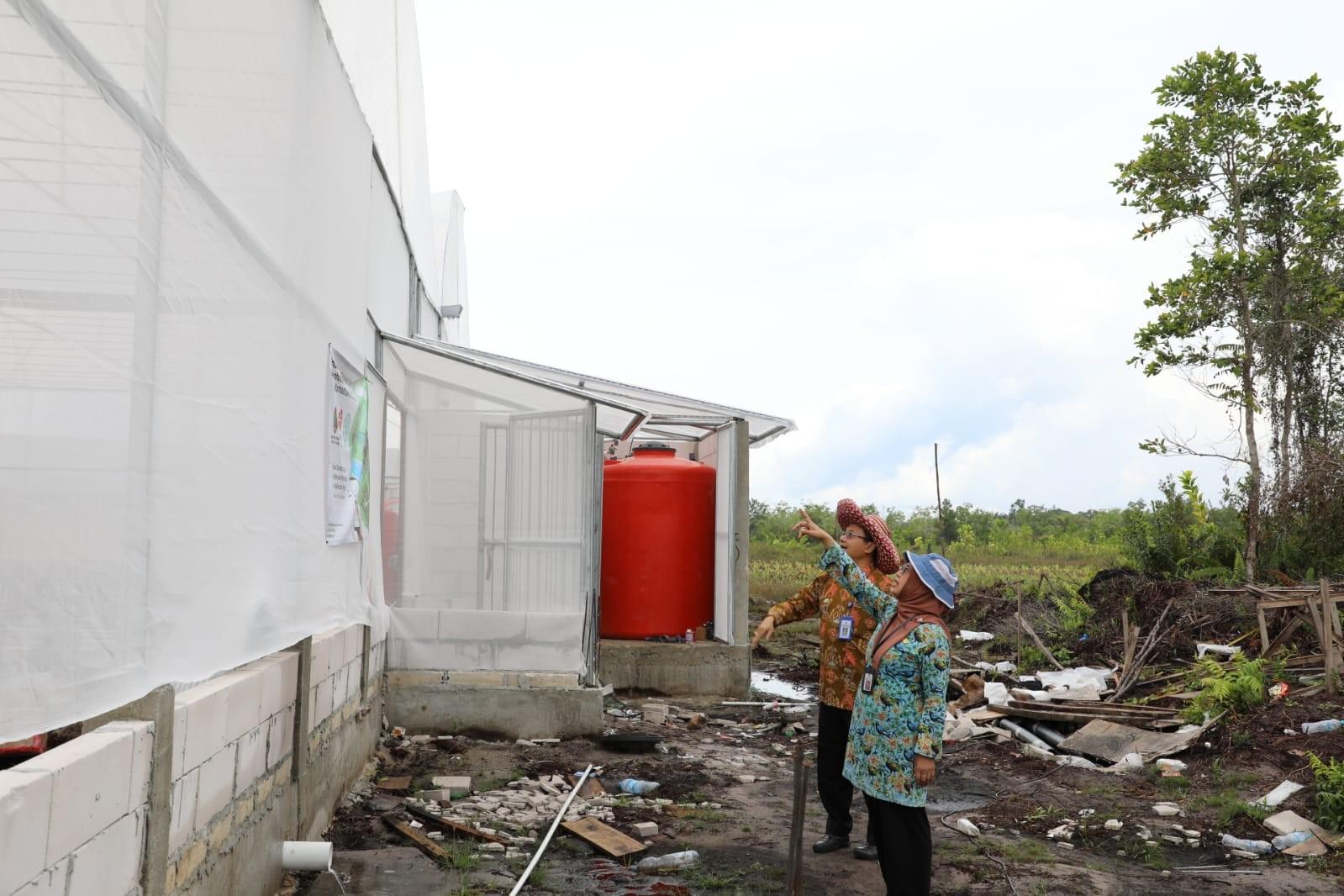 Kadis TPHP Lakukan Peninjauan Pembangunan Smart Green House