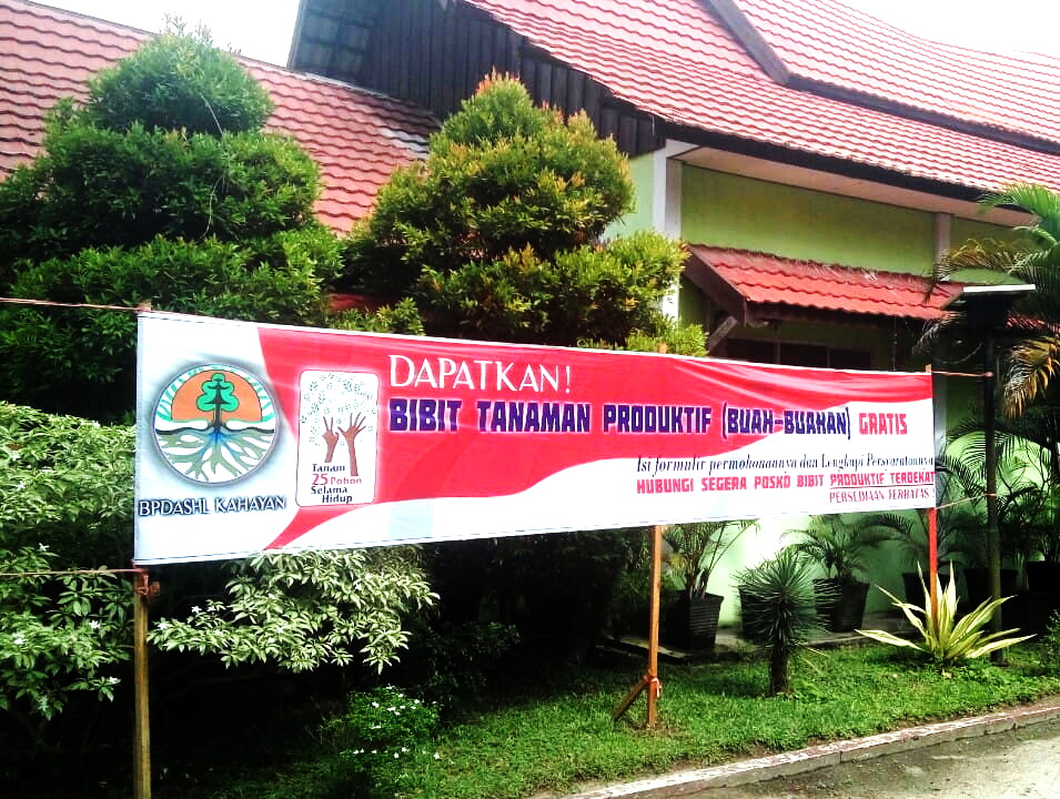 DLH Kobar Bagikan Bibit Tanaman Produktif Secara Gratis