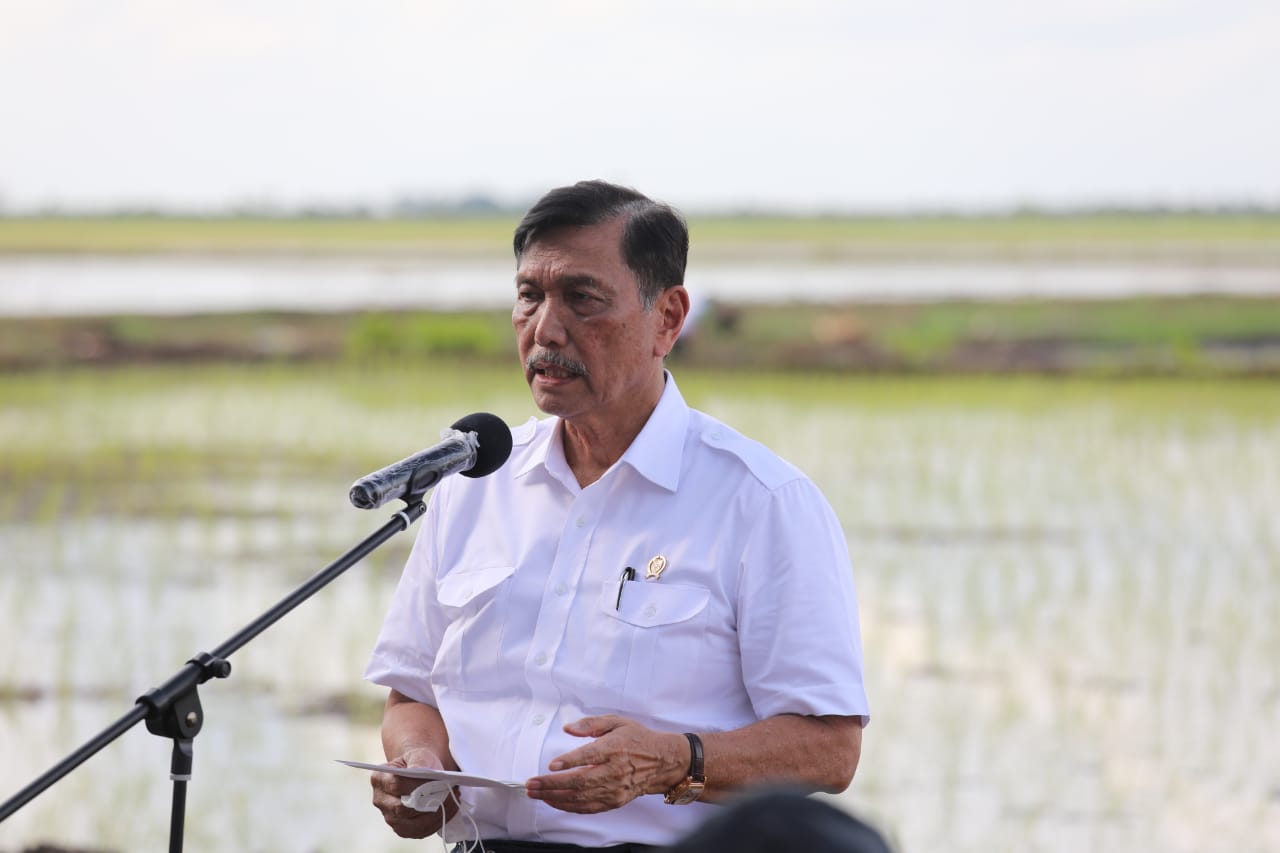 Gubernur Kalteng Dampingi Sejumlah Menteri Tinjau Kawasan Food Estate di Dadahup, Kapuas