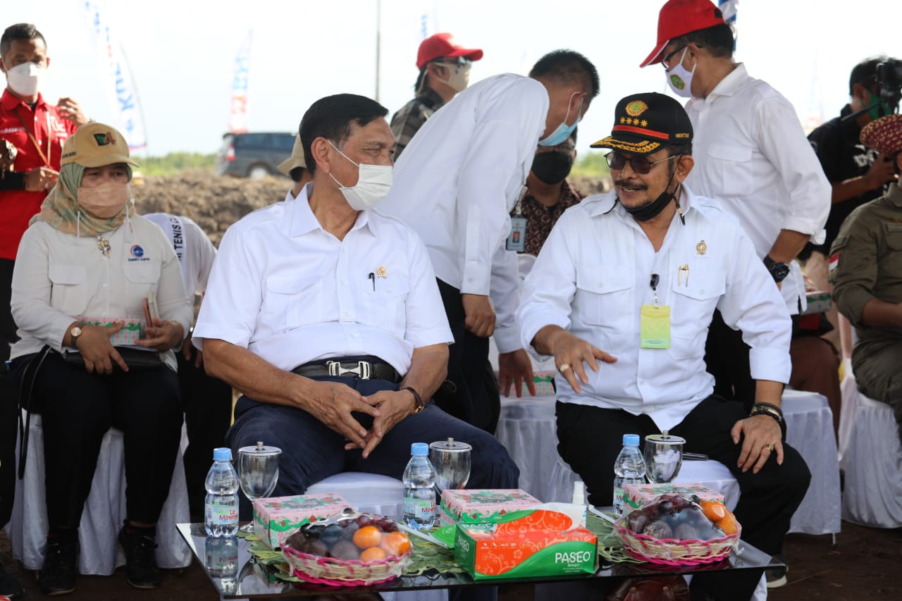 Menko Marves Tegaskan Food Estate Harus Berjalan Sesuai Aturan
