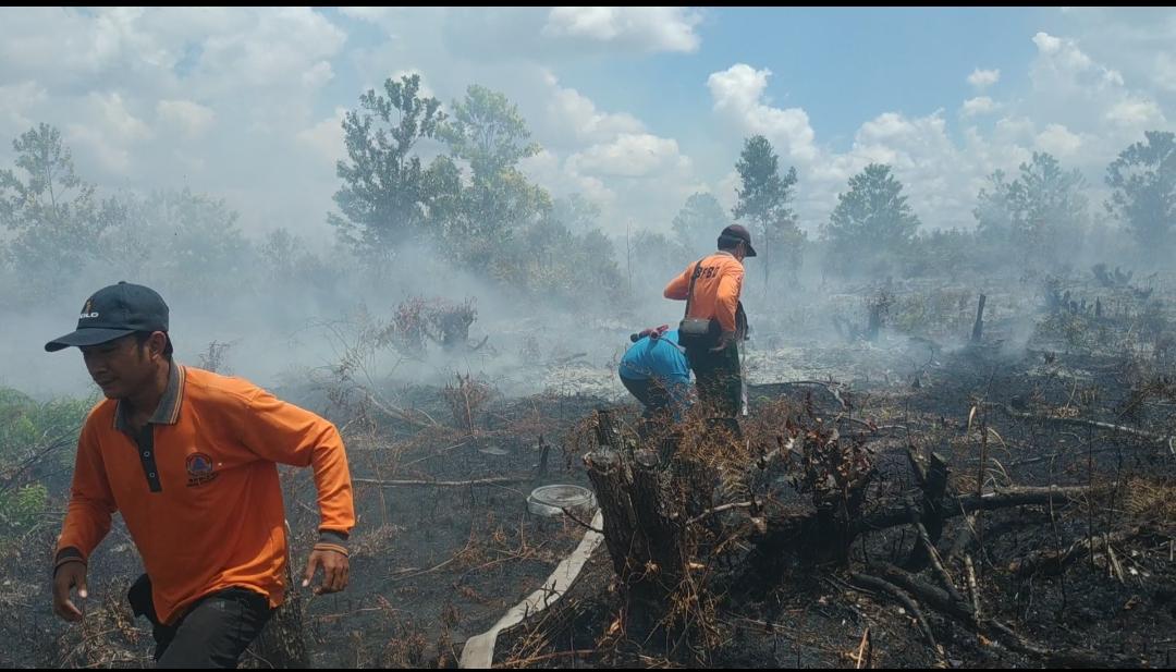 Kabupaten dan Kota Lakukan Upaya Preventif Karhutla 